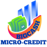 Big Cash Micro Credit